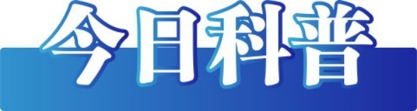 1736501642538331.jpeg