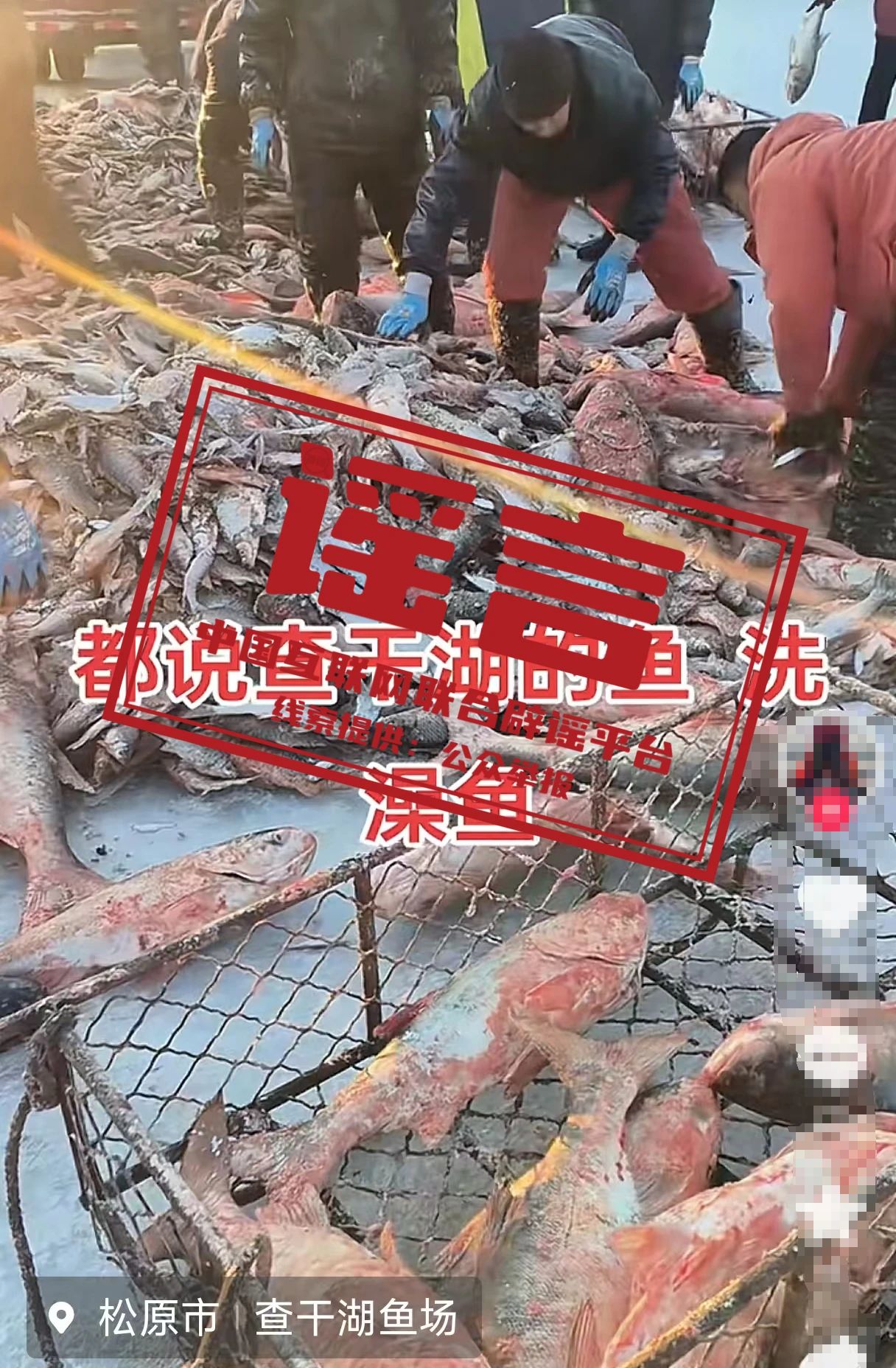 1741600988327445.jpg 微信图片_20250310180207.jpg