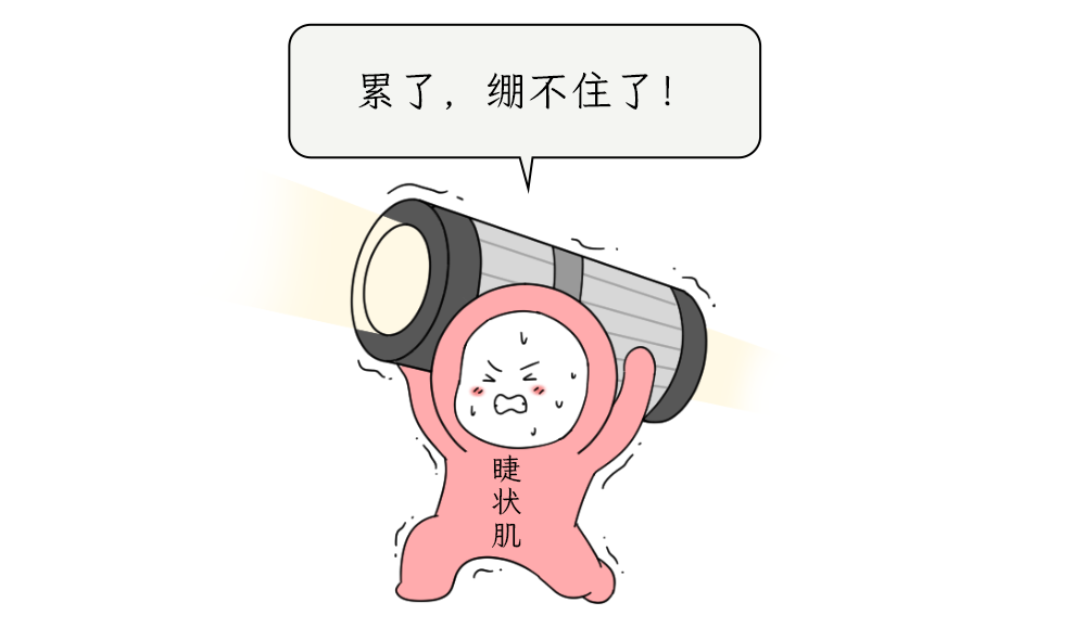 微信图片_20250508095601.png