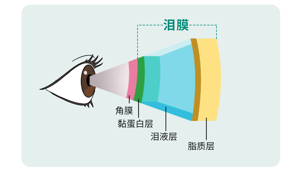 微信图片_20250508095623.png
