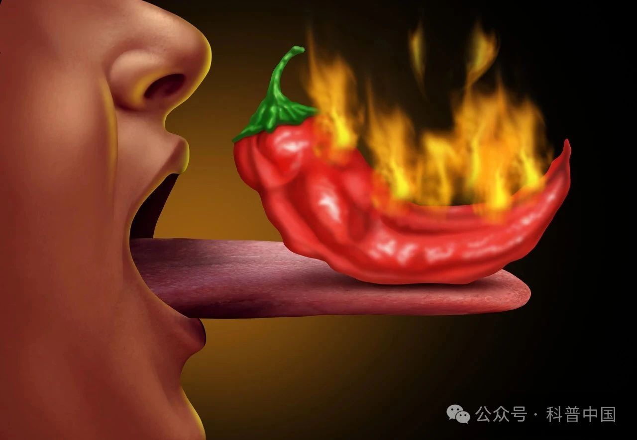 1749537226782415.jpg 微信图片_2025-06-10_143330_846.jpg