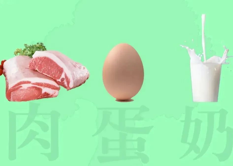 微信图片_2025-08-18_101650_484.jpg