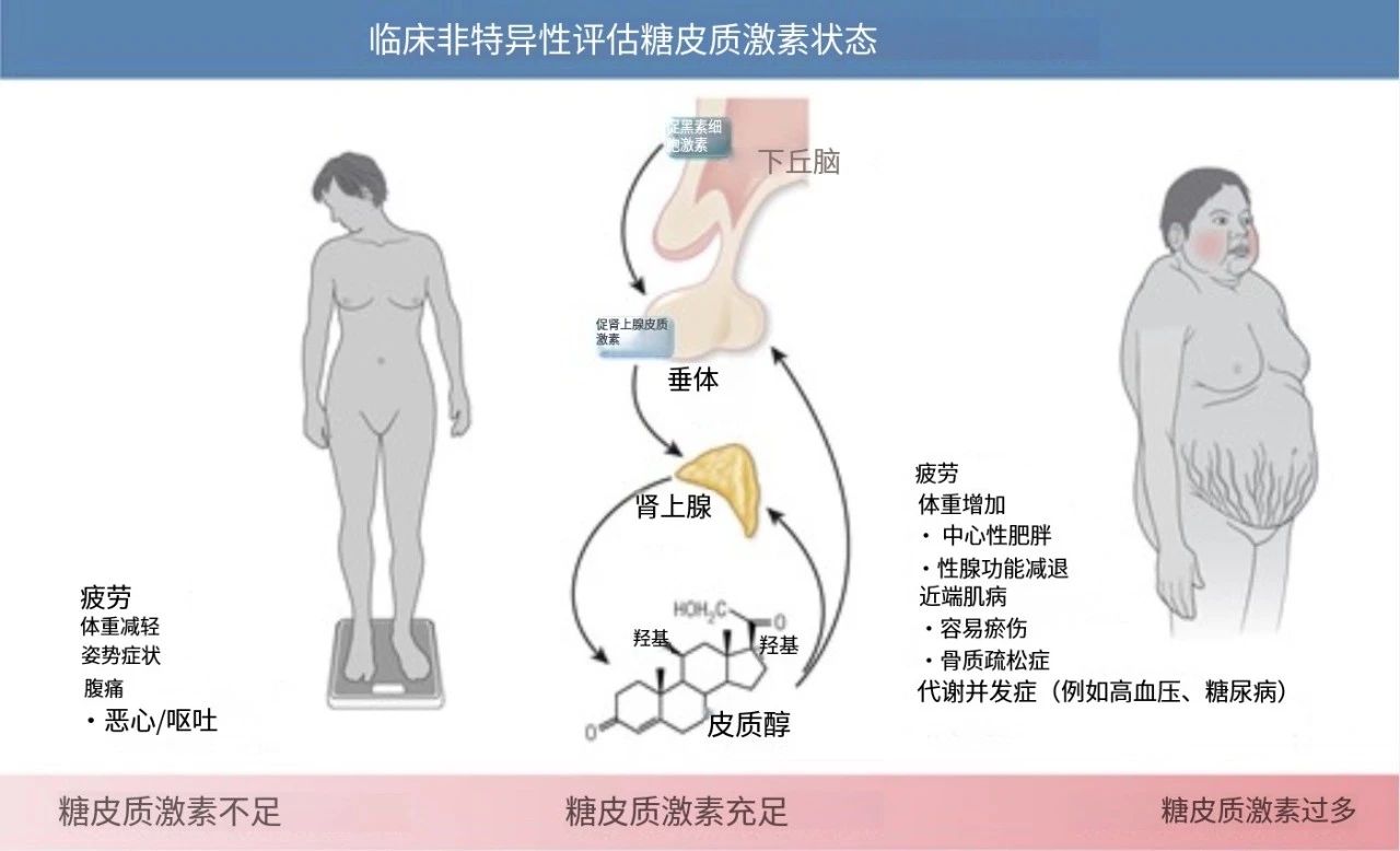 1756170847885388.jpg 微信图片_2025-08-26_091320_250.jpg