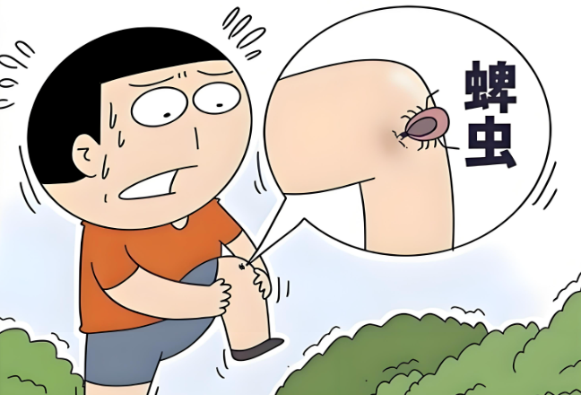 1757298239842748.png 微信图片_2025-09-08_102341_735.png